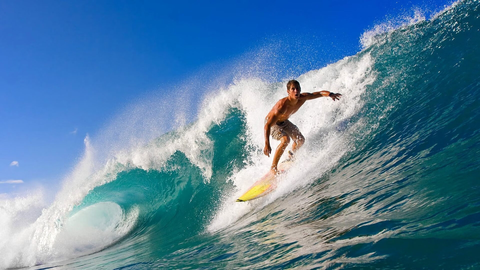 “德甲激烈竞争，最后冲刺谁能占上风？”，德甲收官战